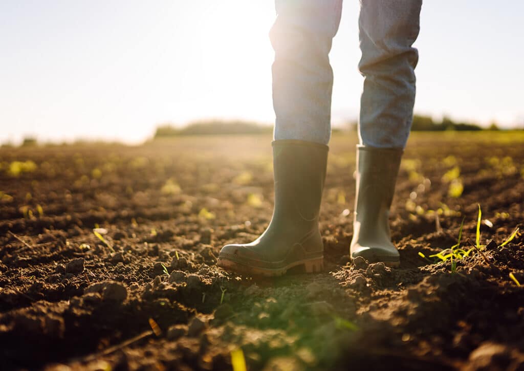 Kalk für Agrarprodukte